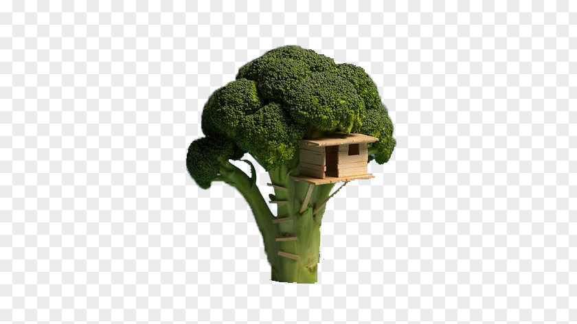 Broccoli Small Nest Tree House Food Veggie Burger PNG