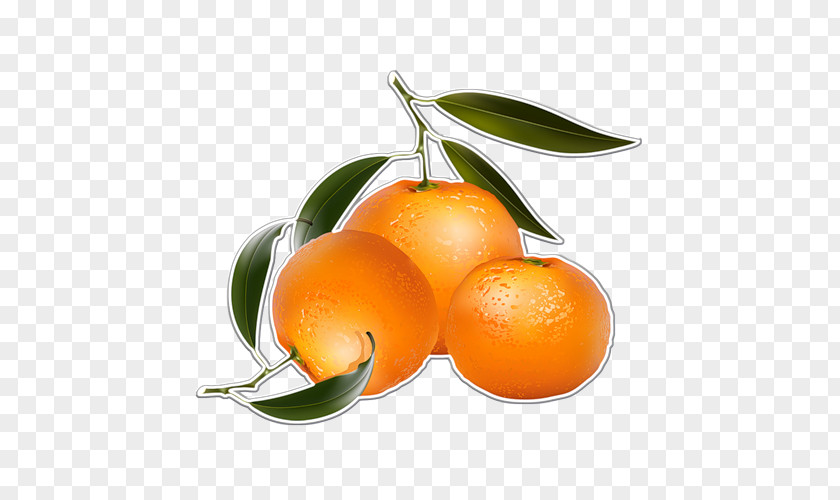 Orange Juice Mandarin Clip Art PNG
