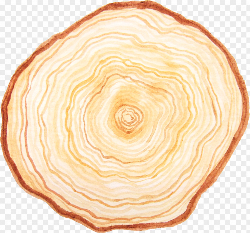 Tree Stump Aastarxf5ngad PNG