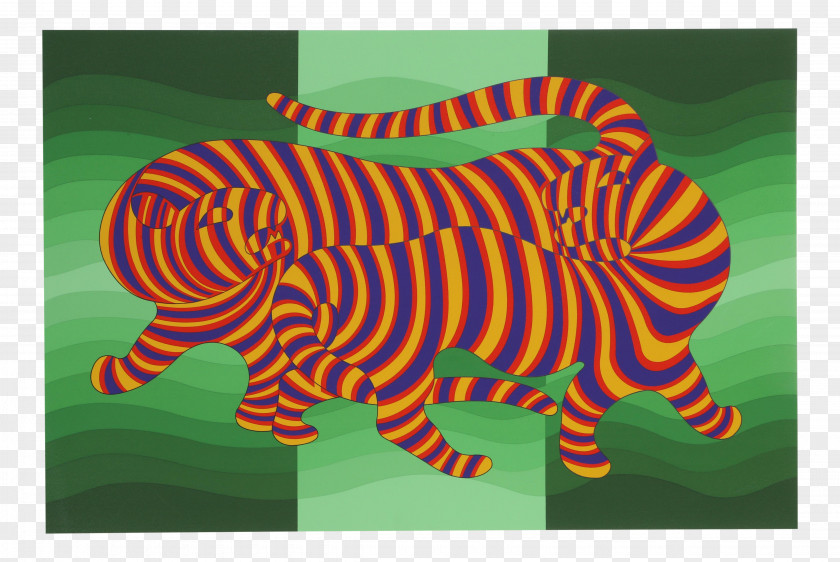 Zebra Supernovae Dombor Op Art PNG