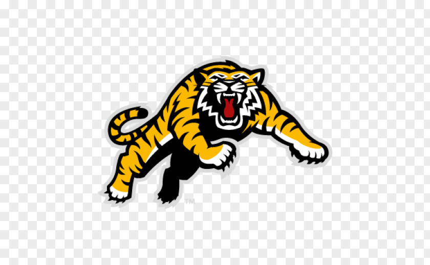American Football Hamilton Tiger-Cats Canadian League BC Lions Edmonton Eskimos Montreal Alouettes PNG