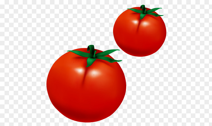 Vector Tomatoes Plum Tomato Kids Urdu Qaida Bush Fun Graphics PNG