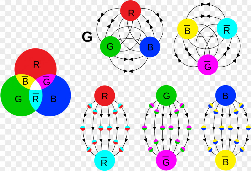 Arbol Particle Physics Quark Color Charge Gluon PNG