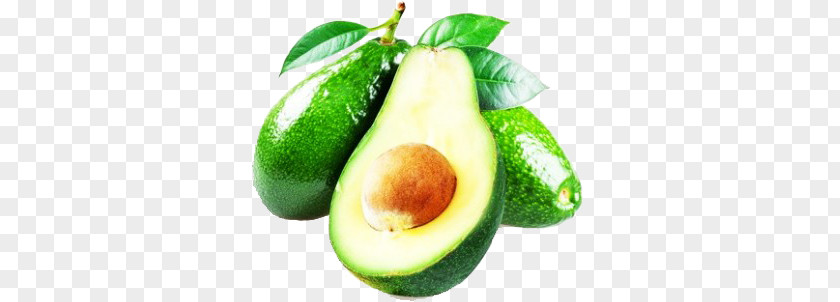 Avocado PNG clipart PNG