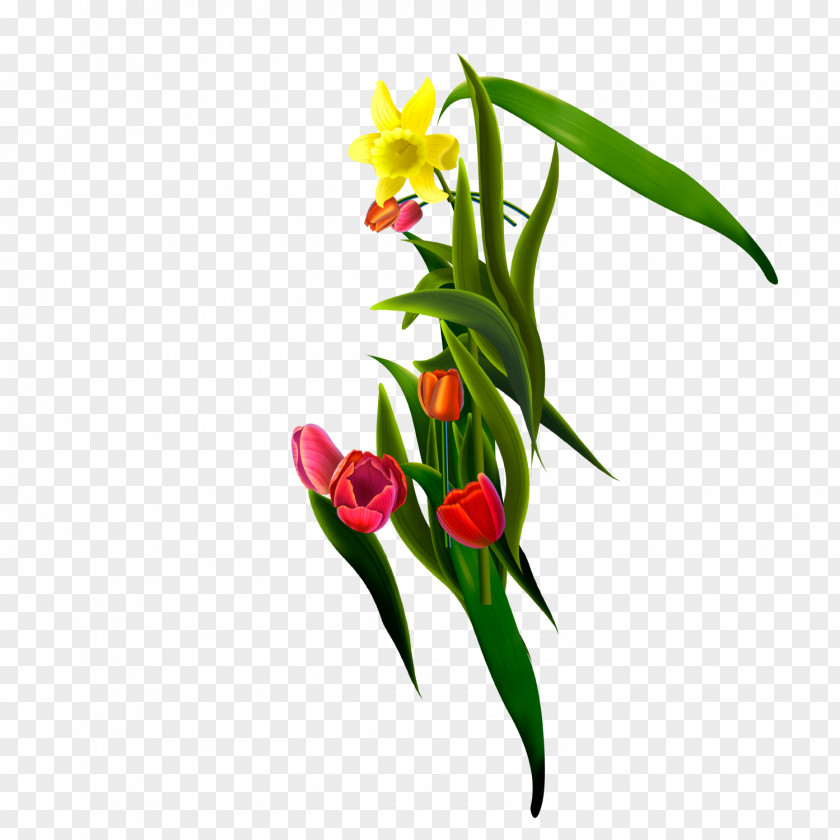 Bouquet Floral Design Flower Icon PNG