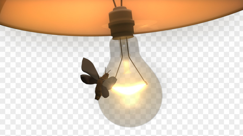 Lamp Incandescent Light Bulb Moth Fixture PNG