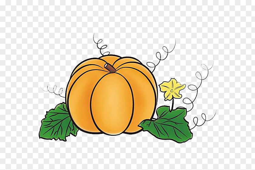 Pumpkin Hobak-juk Pie Jack-o-lantern PNG