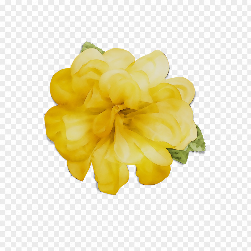 Yellow Cut Flowers PNG