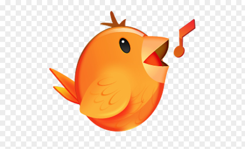 Bird Singing Songbird Media Player Download Multimedia PNG