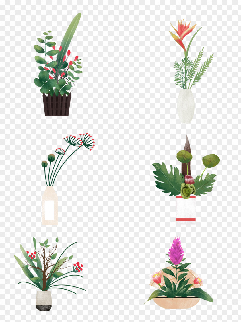 Grass Houseplant Green Background PNG