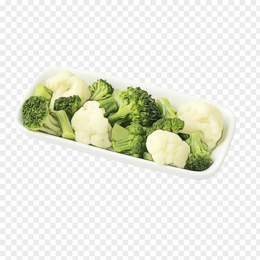 Iceburg Lettuce Vegetarian Food Leaf Watercolor PNG
