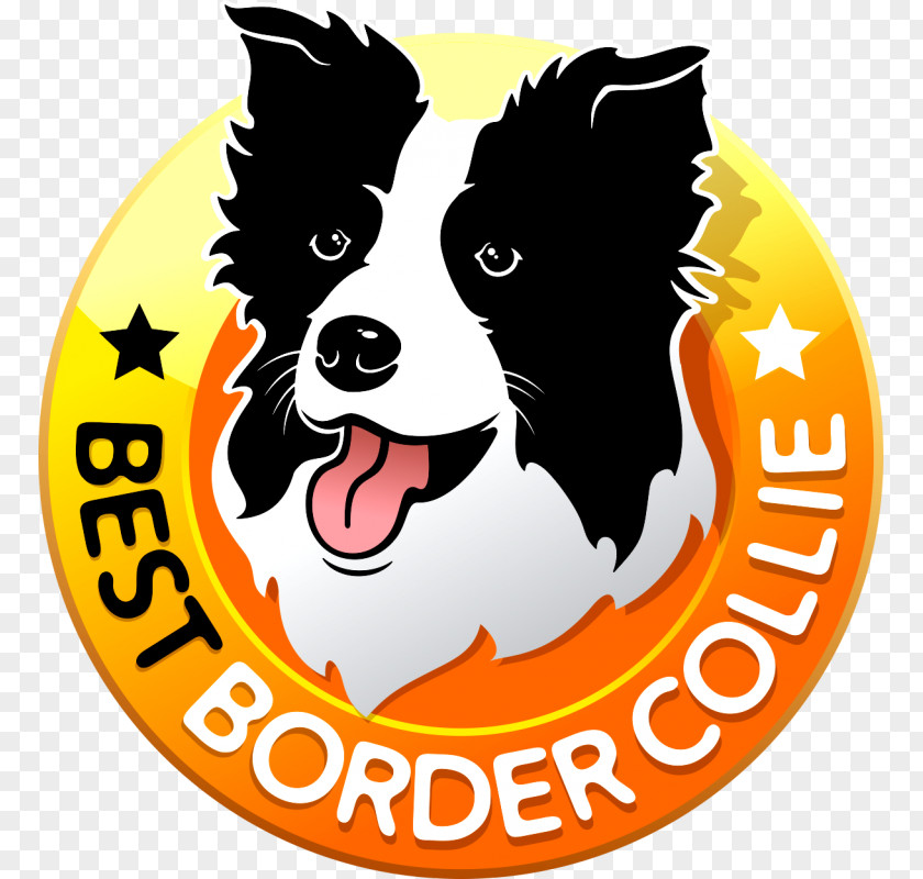 Border Collie Filhote Dog Breed Puppy Rough Curso De Adestramento PNG