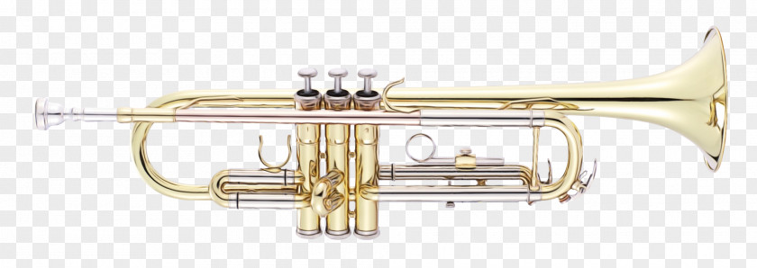 Brass Musical Instrument Instruments PNG