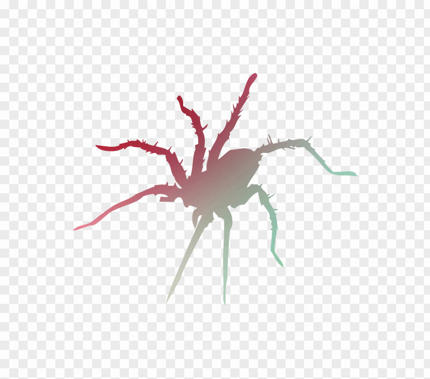 Clip Art Silhouette Spider Graphics Illustration PNG