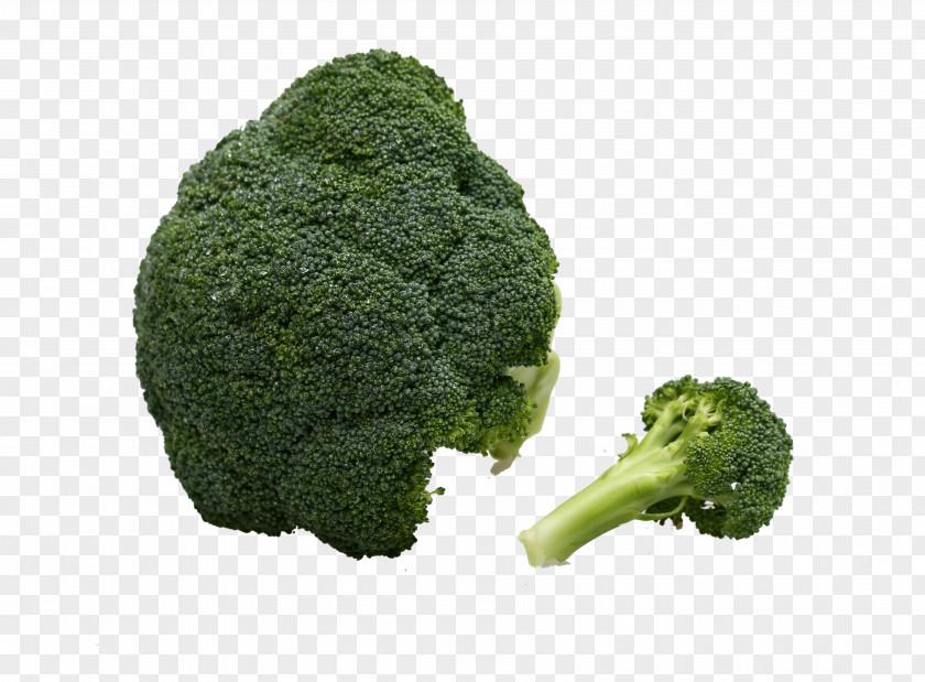 Green Vegetables Broccoli Vegetable Immune System PNG