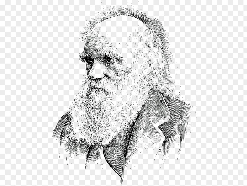 Scientist What Darwin Got Wrong Charles Darwin: Victorian Mythmaker Evolution Biology Darwinism PNG