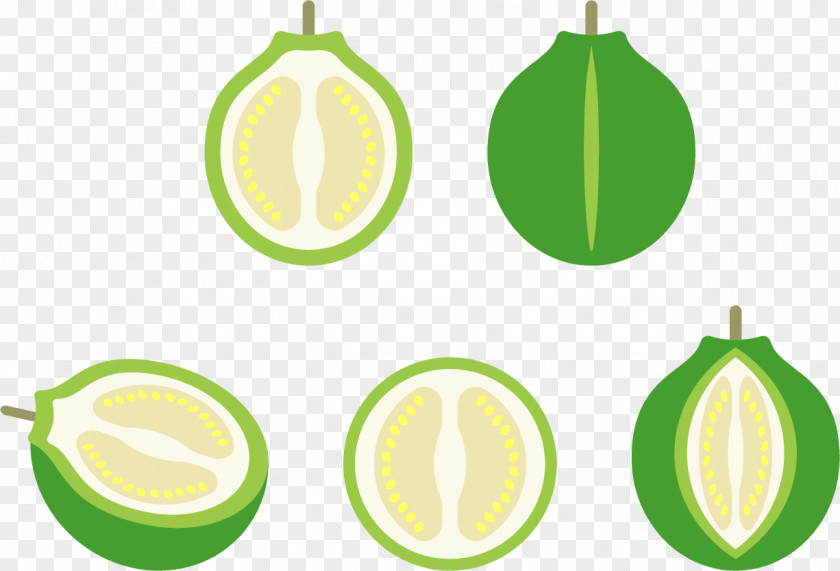 Vector Melon Lemon Euclidean Icon PNG