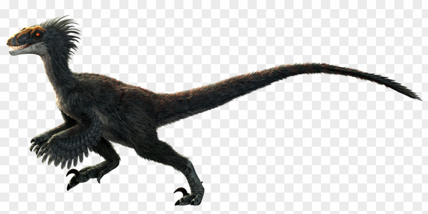 Bearded Dragon Velociraptor Primal Carnage: Extinction Dinosaur Tyrannosaurus PNG