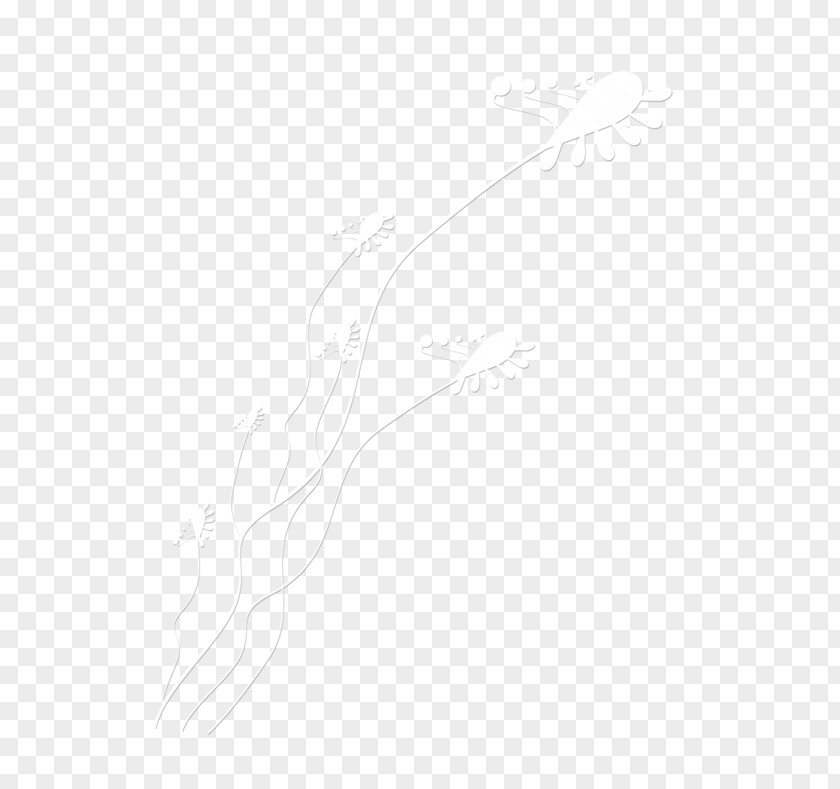 Design Drawing White Line Art Sketch PNG