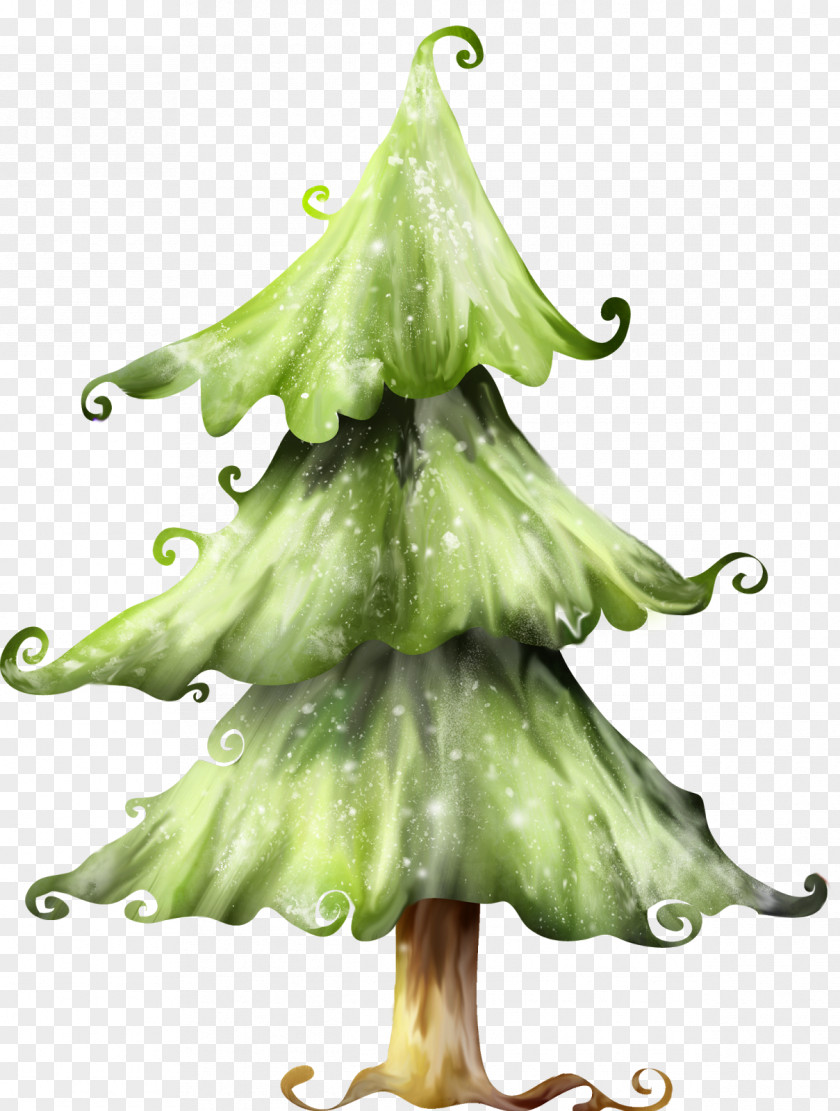 Fir-tree Christmas Tree Fir Pine PNG
