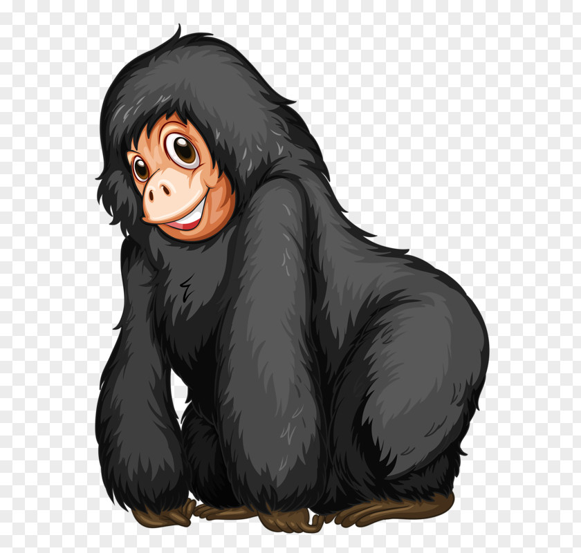 Hairy Gorilla Western Stock Photography Clip Art PNG