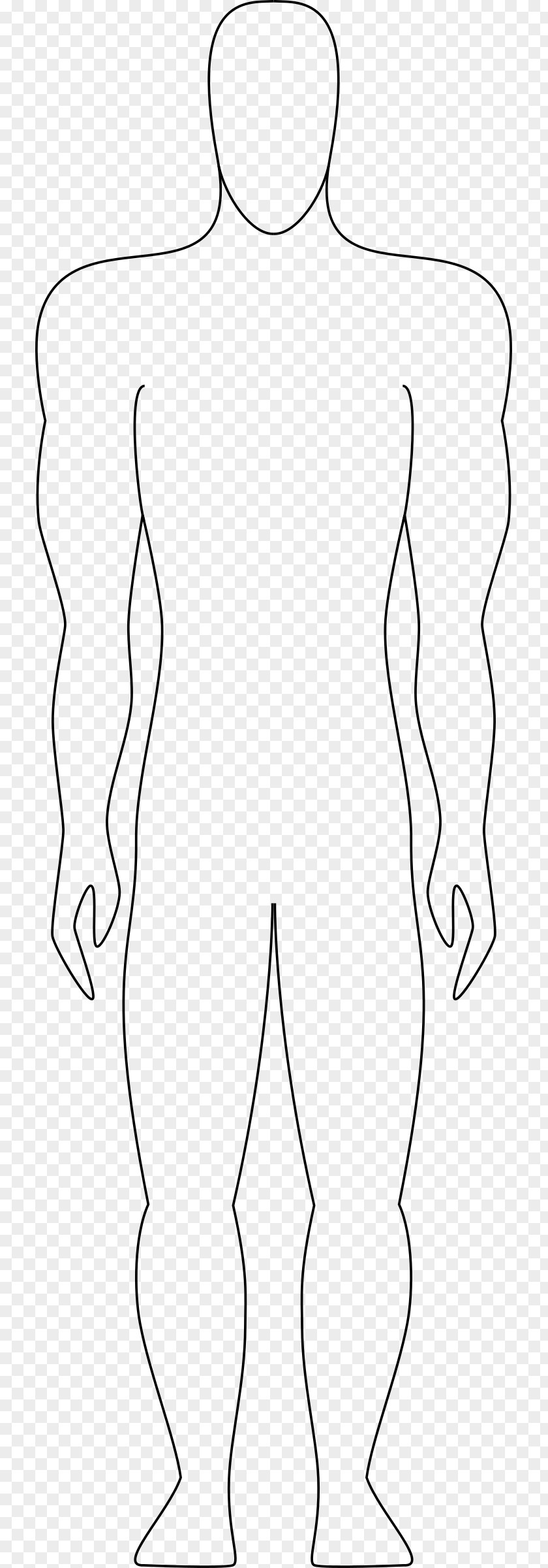Human Figure Body Homo Sapiens Clip Art PNG