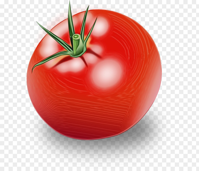 Nightshade Family Food Tomato PNG