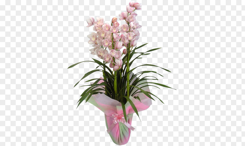 Shop Goods Floral Design Cut Flowers Moth Orchids Flowerpot PNG