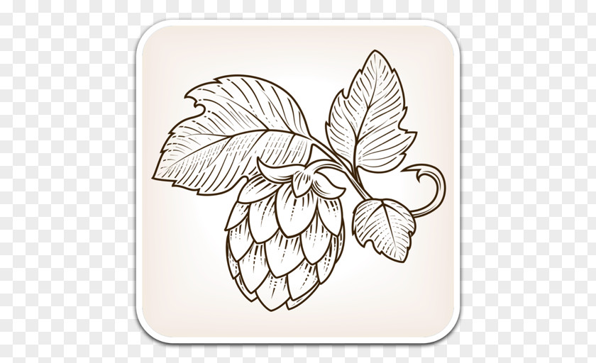 Beer Hops Drawing PNG