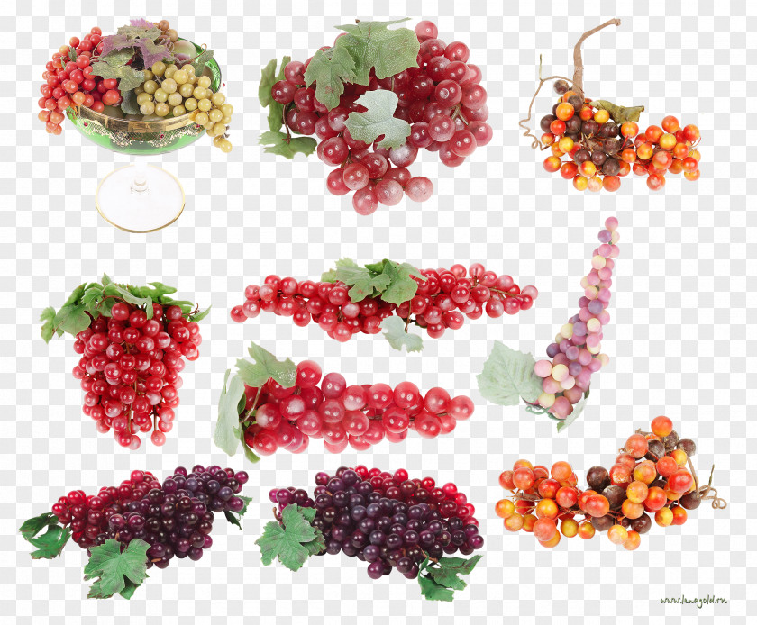 Grape Wine Grapevines Berry Food PNG
