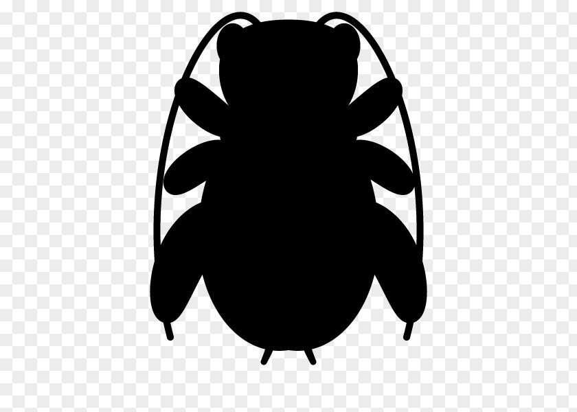 Insect Pollinator White Clip Art PNG