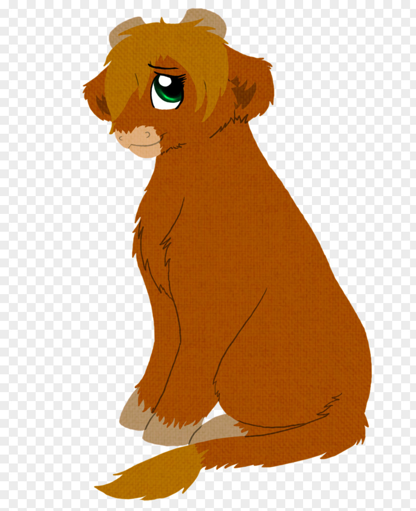 Lion Whiskers Dog Bear Cat PNG