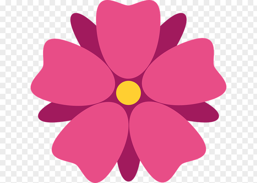 Symmetry Plant Flower Pink PNG
