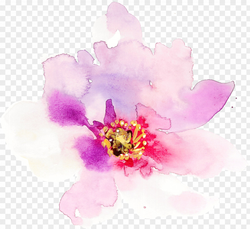 Wildflower Magenta Watercolor Flower Background PNG