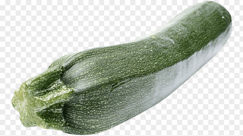 Food Cucumber Gourd And Melon Family Vegetable Zucchini Plant Luffa Cucumber, Gourd, PNG