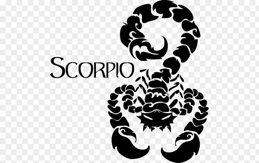 Scorpio Zodiac Symbol HD Astrological Sign Sun Astrology PNG