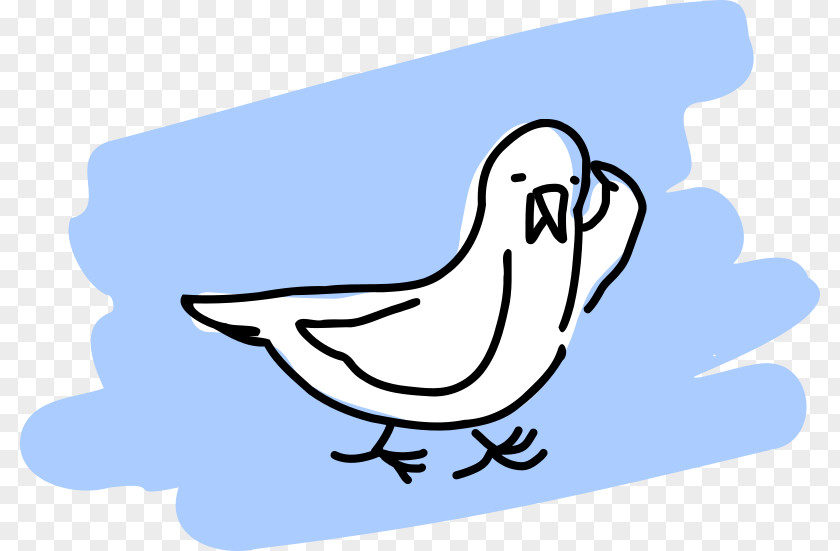 Seagull Gulls Bird Drawing Clip Art PNG