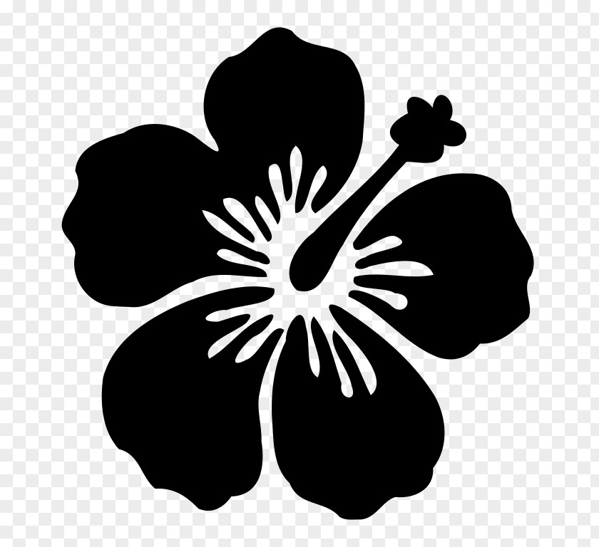 Flower Hawaiian Hibiscus Silhouette PNG