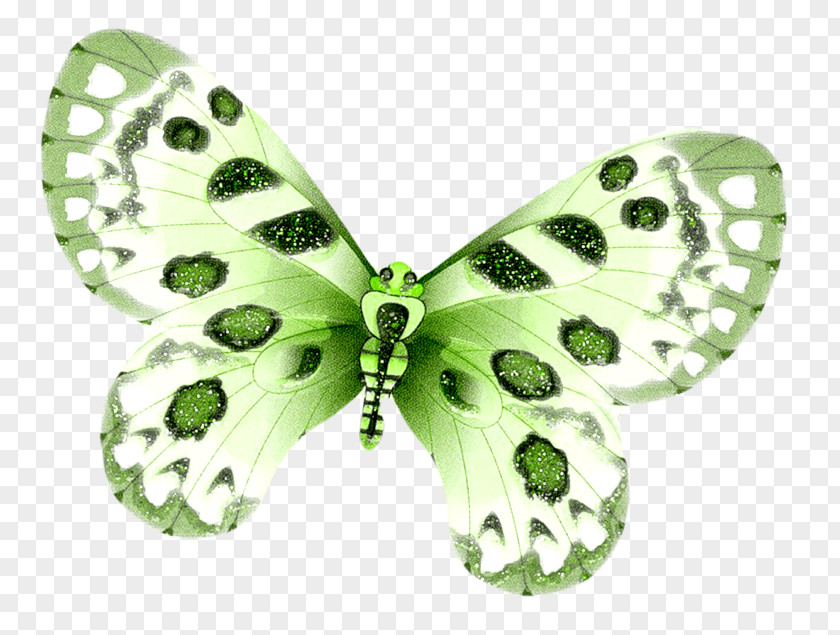 Kapari Beyaz Kelebek Butterfly Clip Art Drawing Painting Papillon Dog PNG
