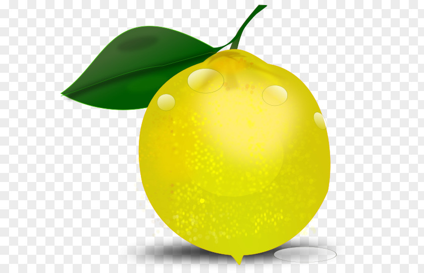 Lemons Cliparts Variegated Pink Lemon Free Content Clip Art PNG