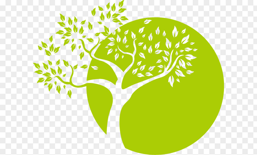 Cartoon Tree Logo Image PNG