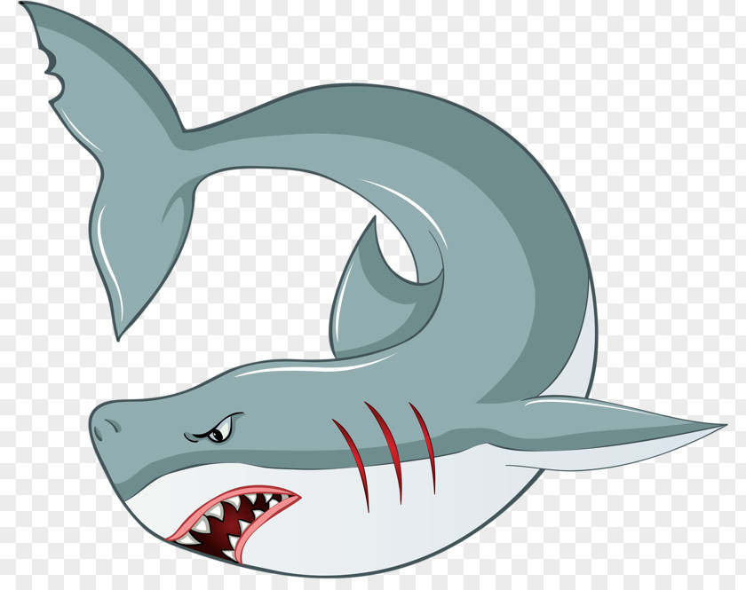 Hand Drawn Shark Great White Fish Royalty-free PNG