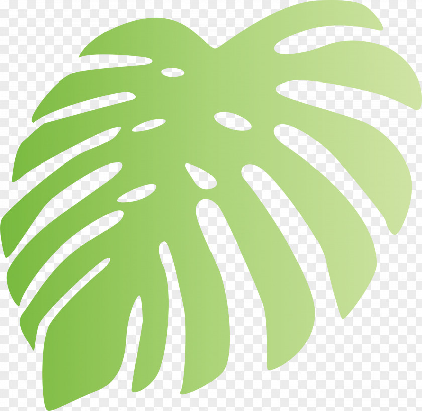 Monstera Tropical Leaf PNG