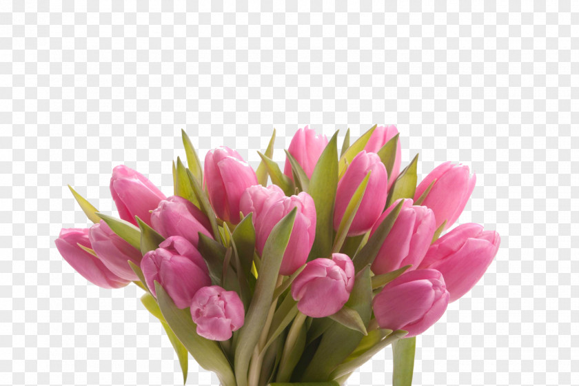 Tulip Cut Flowers Mother's Day Flower Bouquet PNG