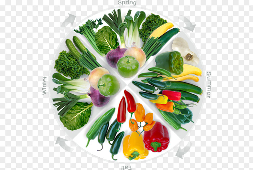 Bok Choy Vegetarian Cuisine Leaf Vegetable Food Garnish PNG