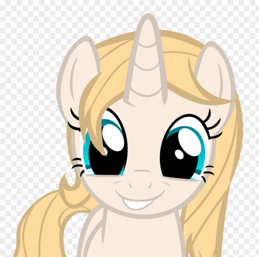 Cat My Little Pony Horse Rainbow Dash PNG