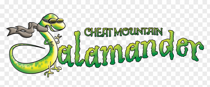 Cheat Mountain Salamander Durbin And Greenbrier Valley Railroad Train Reptile PNG
