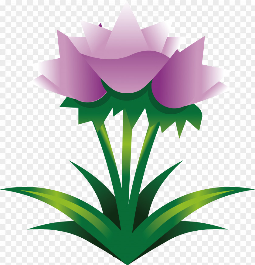 Easter Flower Spring PNG