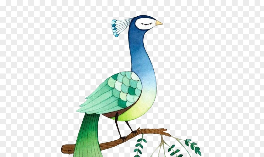 Hand-painted Standing Branches Arrogant Peacock Watercolor Painting Peafowl Illustration PNG