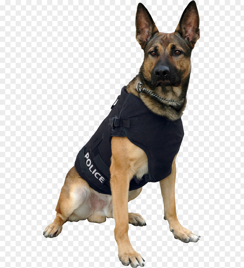 Missing-persons German Shepherd Police Dog Bullet Proof Vests Gilets PNG